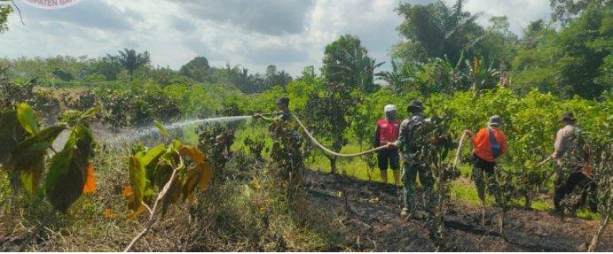 Karhutla Landa Desa Mali-Mali dan Sungai Sipai Banjar, Petugas Sebut Api Dekati Sawah & Rumah Warga